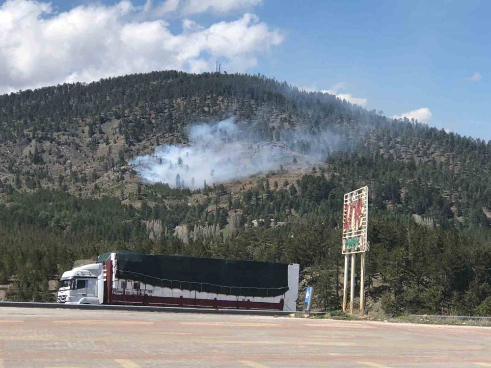 Konya’da ormanlık alanda yangın başladı

