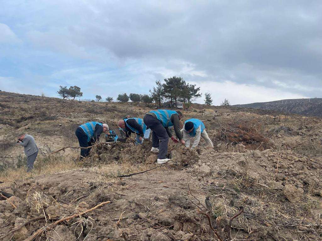 Çanakkale’ye nefes aldıran serbest etkinlik